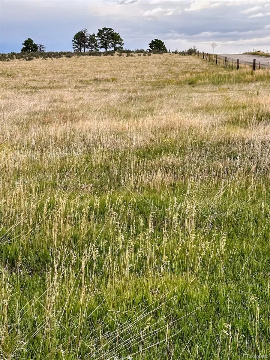 23001 County Road 77, Calhan, CO 80808 - #2