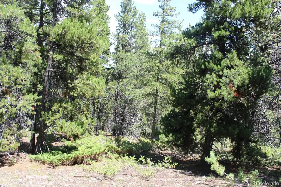 00 Fs 410.1a, Black Hawk, CO 80422 - Image #3