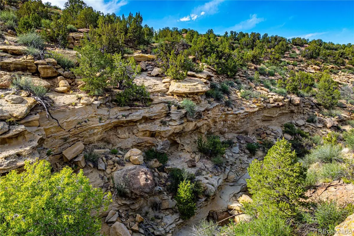 TBD L Bandito Trail, Florence, CO 81226 - #1