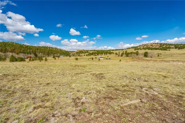 1265 County Rd 403, Florissant, CO 80816