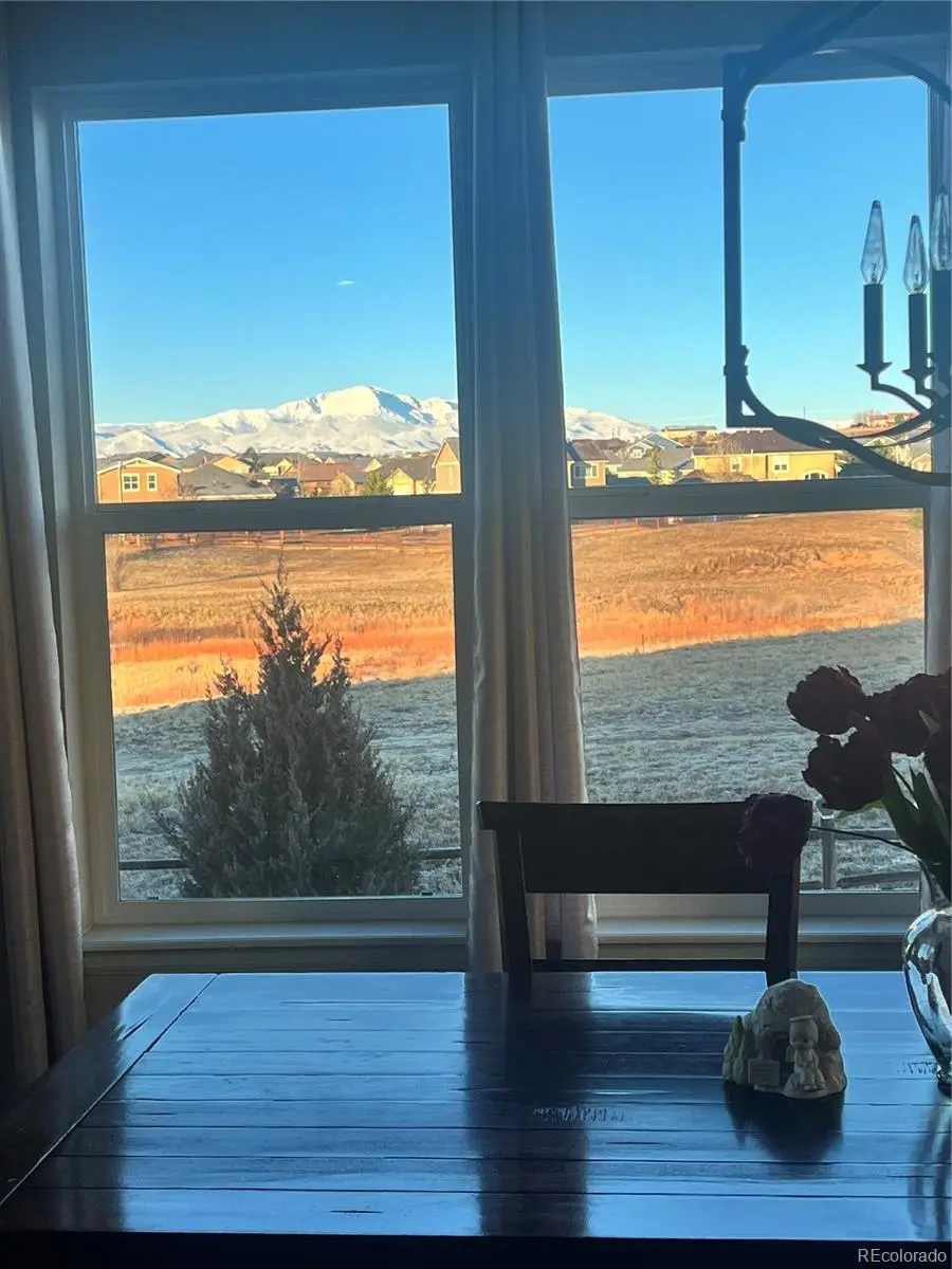 10952 Torreys Peak Way, Peyton, CO 80831 - #3