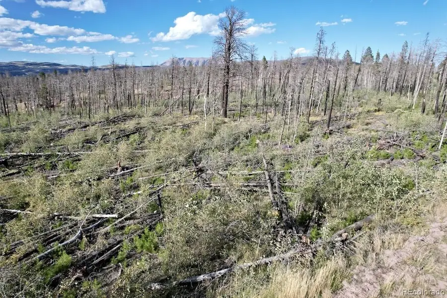 915/917 Ueda Place, Fort Garland, CO 81133 - #3