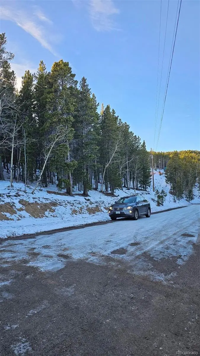 10857 Timothys Drive, Conifer, CO 80433 - Image #2