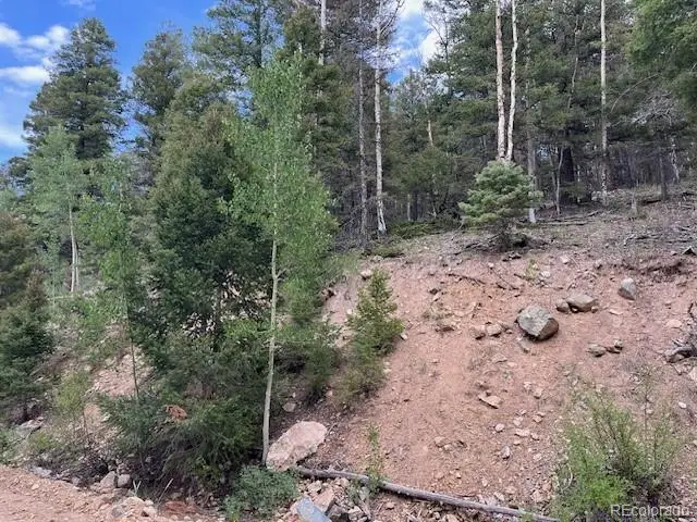 Lot 6184 Ryland Road, San Luis, CO 81152 - Image #3