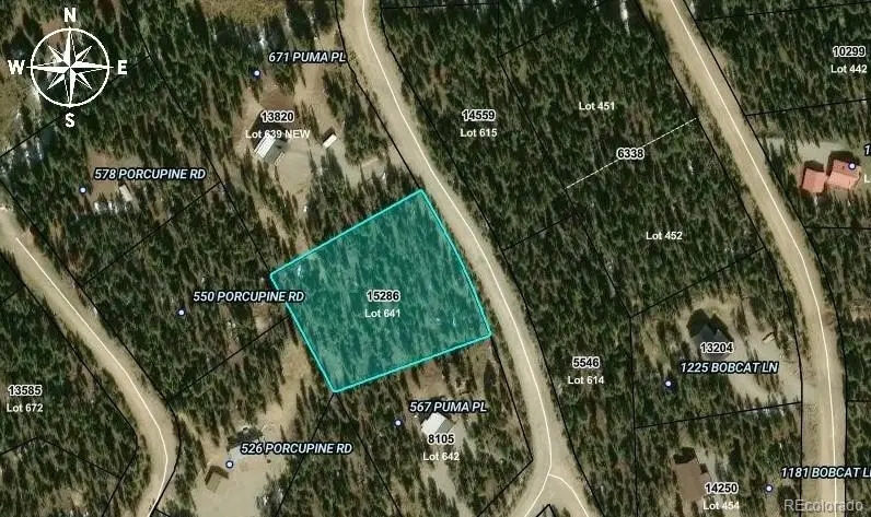 587 Puma Place, Fairplay, CO 80440 - #1