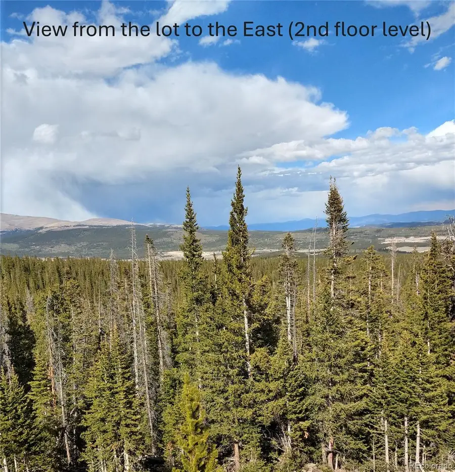 587 Puma Place, Fairplay, CO 80440 - #3