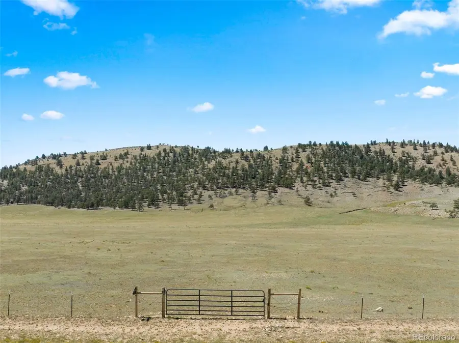 835 Sulphur Mountain, Lake George, CO 80827 - #2