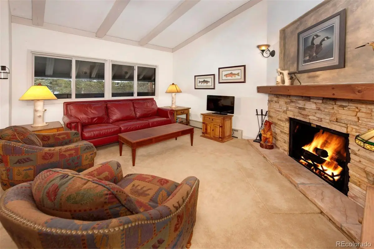 311 S High Street #209, Breckenridge, CO 80424 - #1