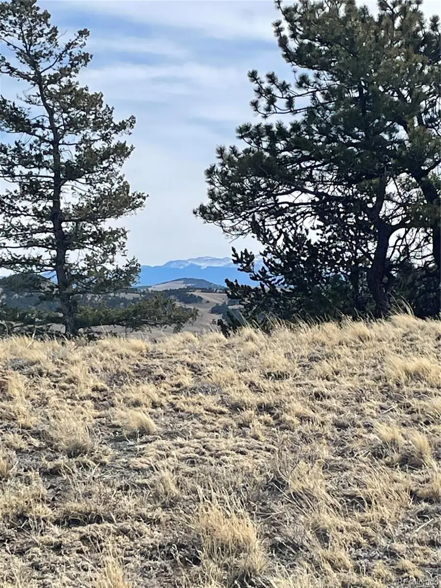 Antelope Road, Hartsel, CO 80449 - #3