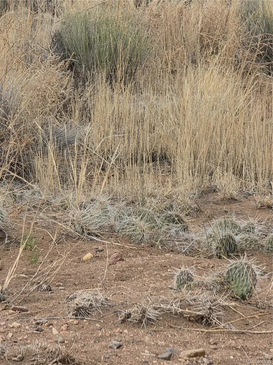 Lot 17 E Denver Rd., Blanca, CO 81123 - Image #2