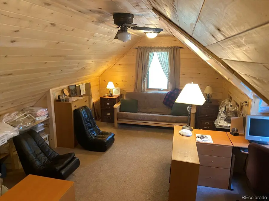 14820 Little Beaver Lane, Nathrop, CO 81236 - #3