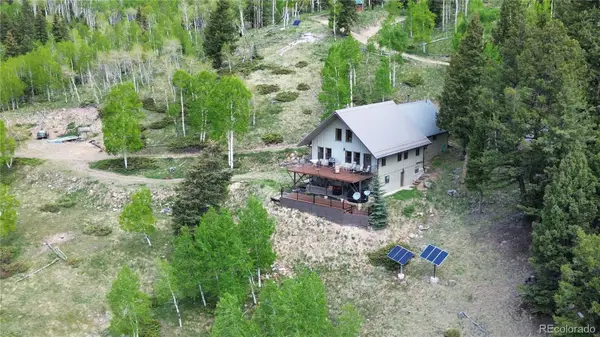 1113 Spring Street, Jasper, CO 81144
