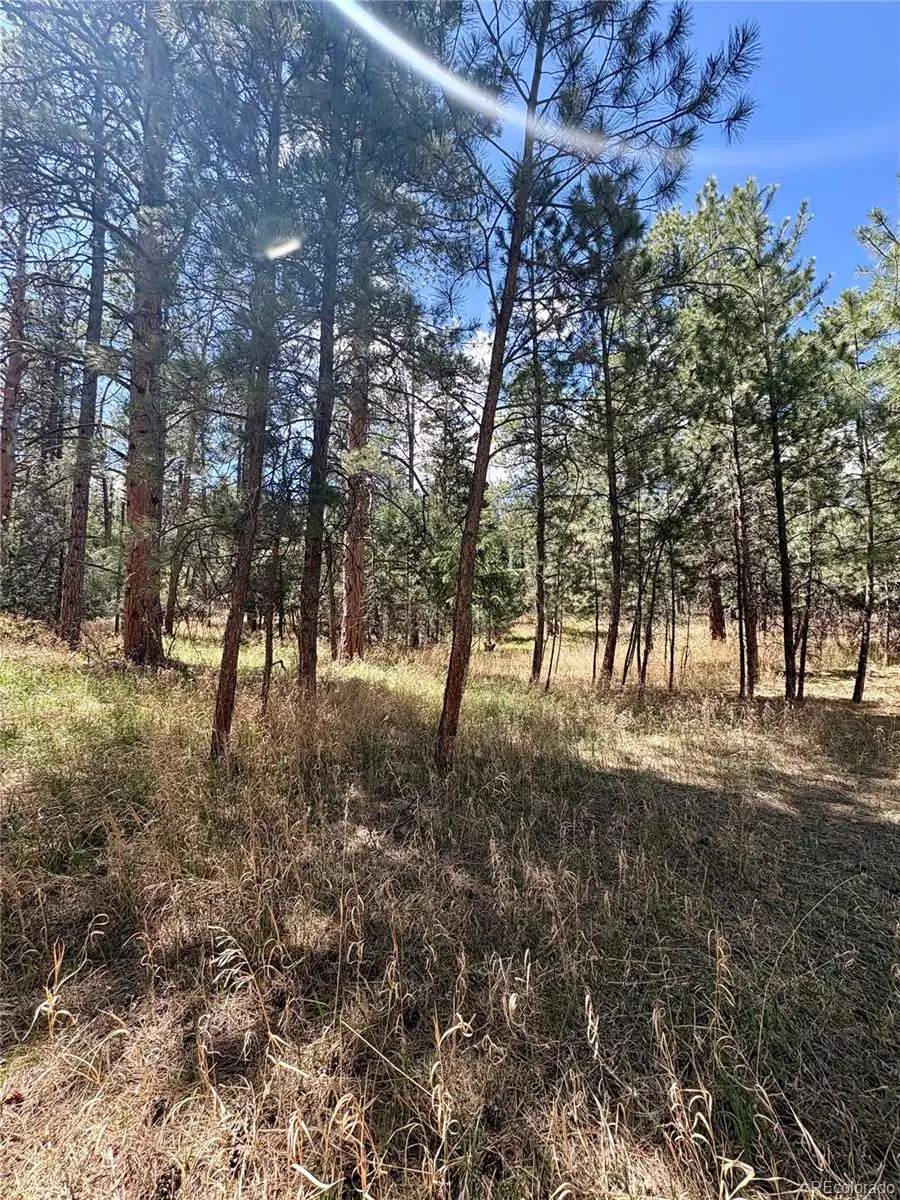 8200 Acoma Drive, Larkspur, CO 80118 - #3