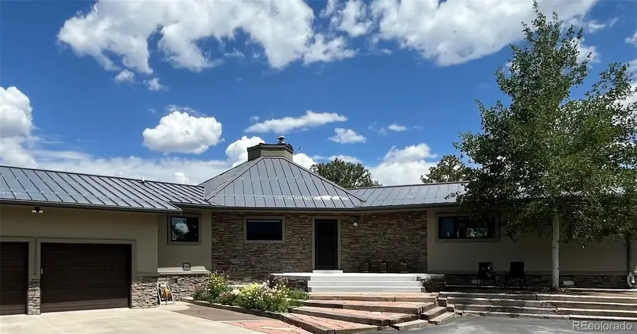 13030 County Road 261d, Nathrop, CO 81236 - #2