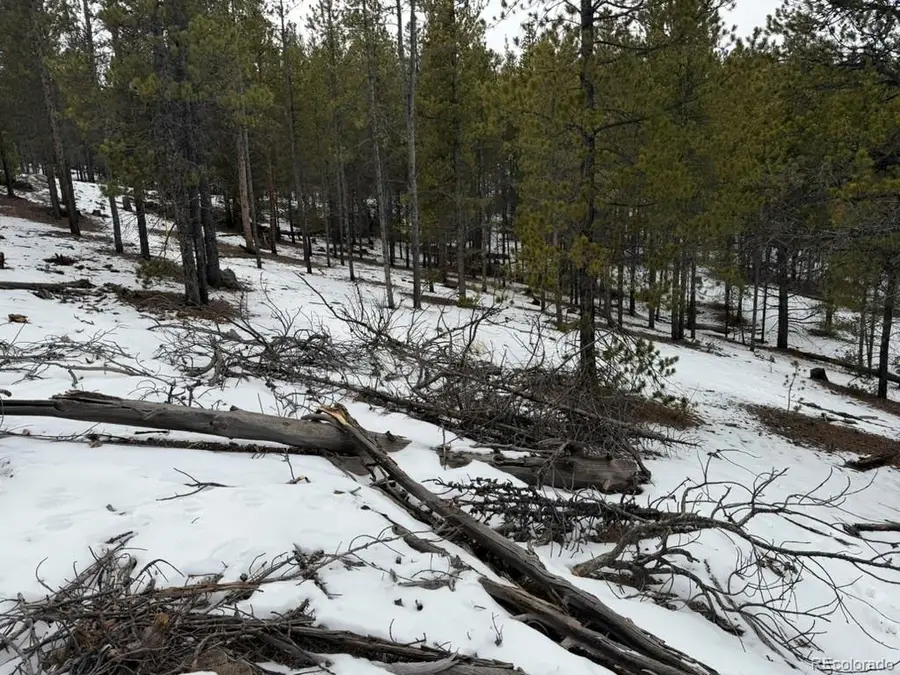 124 Lodgepole Drive, Twin Lakes, CO 81251 - #3