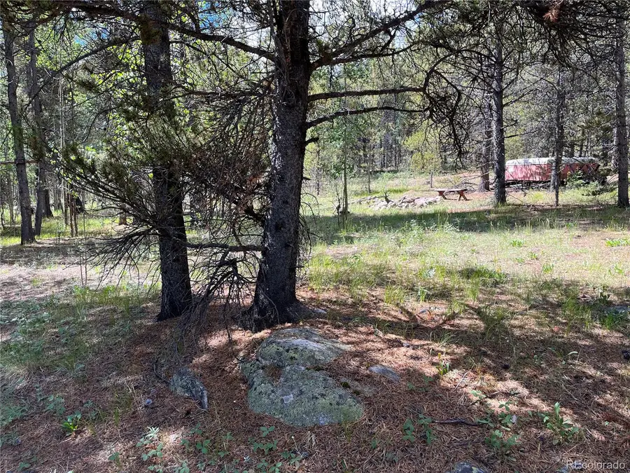 235 Ski Doo Road, Fairplay, CO 80440 - Image #2