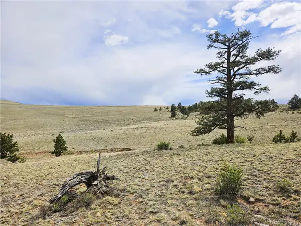 PCS#24131 Chato Road, Hartsel, CO 80449