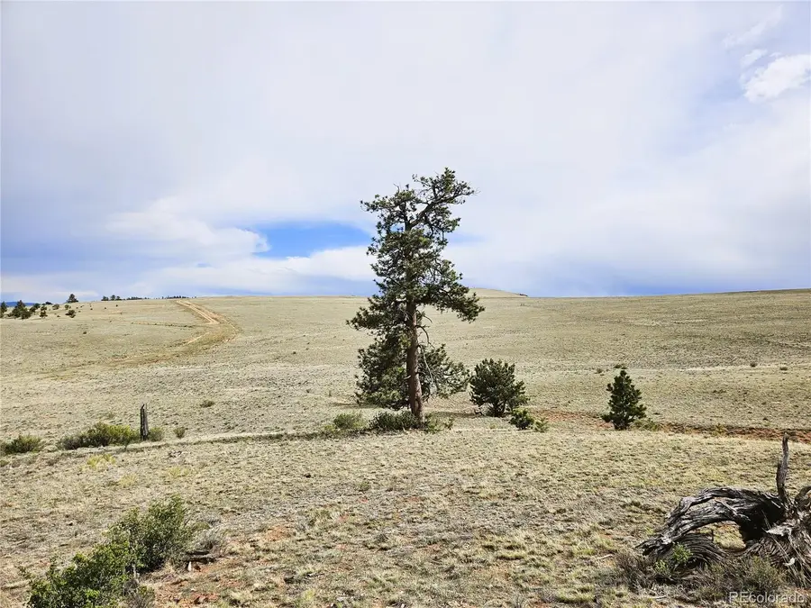 PCS#24131 Chato Road, Hartsel, CO 80449 - #3