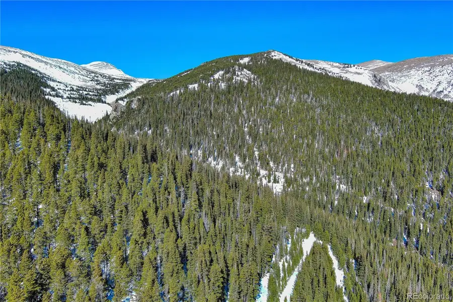 Nebraska Circle, Idaho Springs, CO 80452 - Image #2