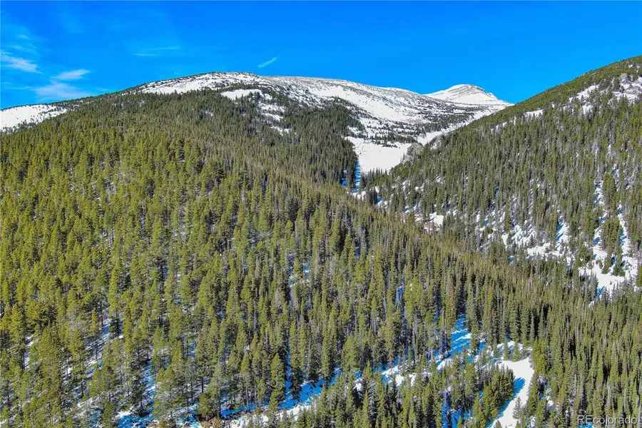 Nebraska Circle, Idaho Springs, CO 80452 - Image #3