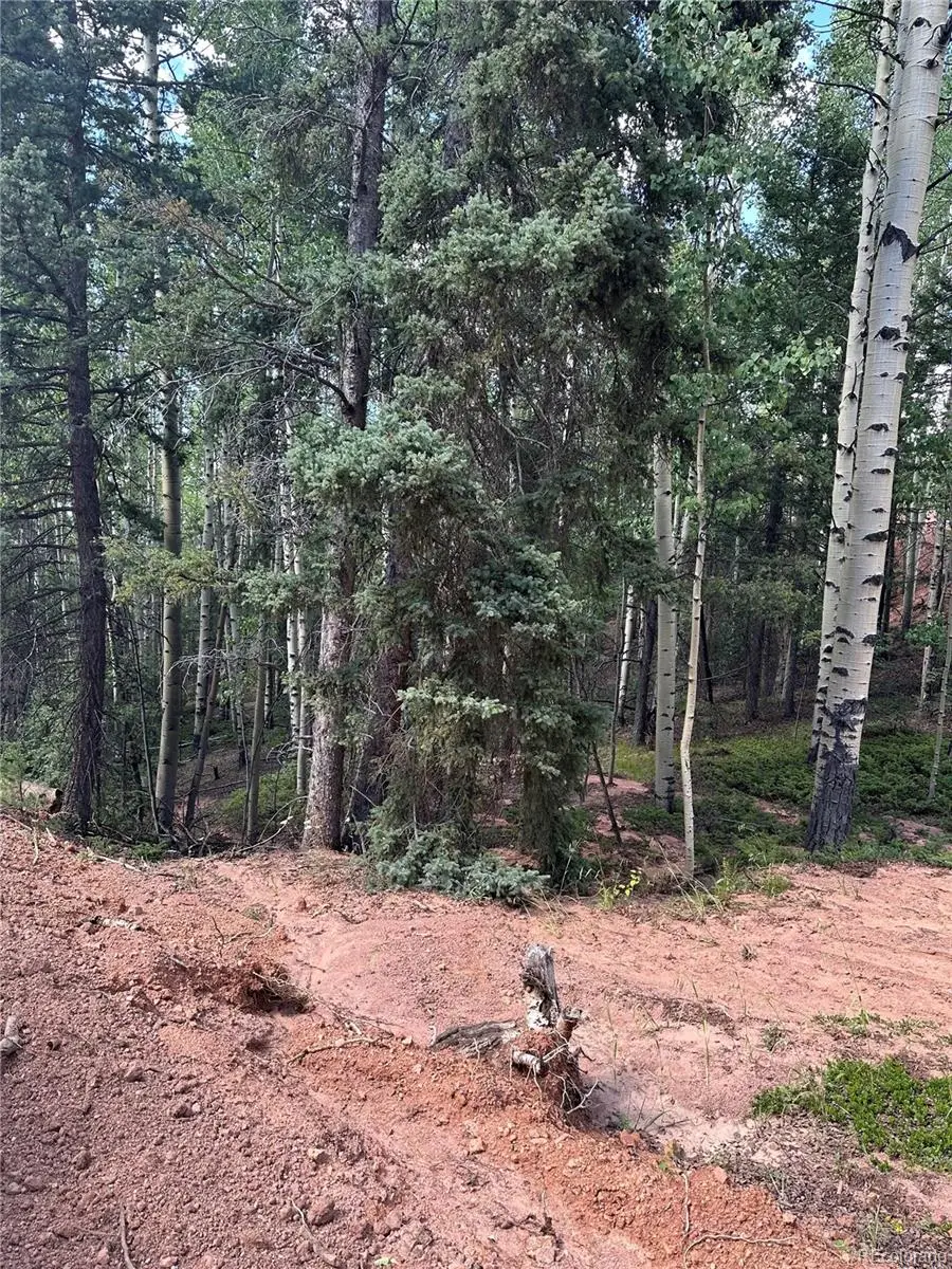 1301 Calcite Drive, Divide, CO 80814 - Image #1