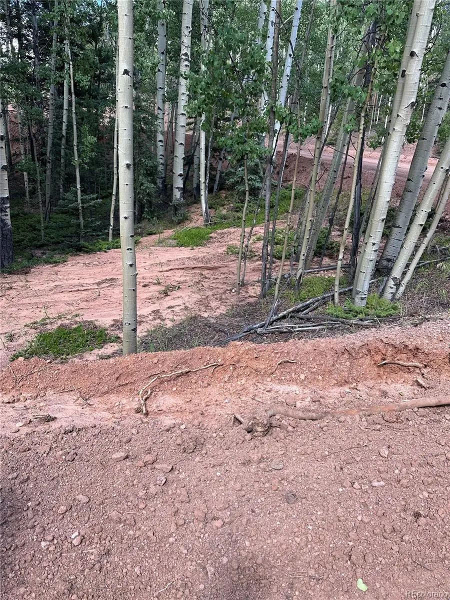 1301 Calcite Drive, Divide, CO 80814 - Image #2