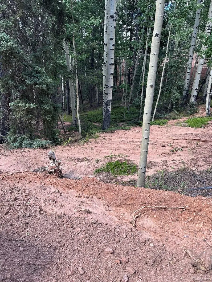 1301 Calcite Drive, Divide, CO 80814 - Image #3