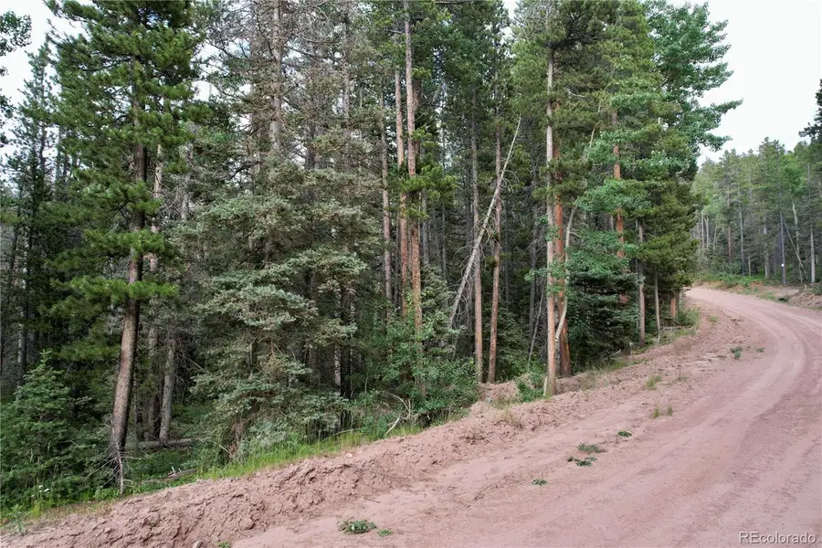 3375 Purnell Lane, Fort Garland, CO 81133 - Image #2