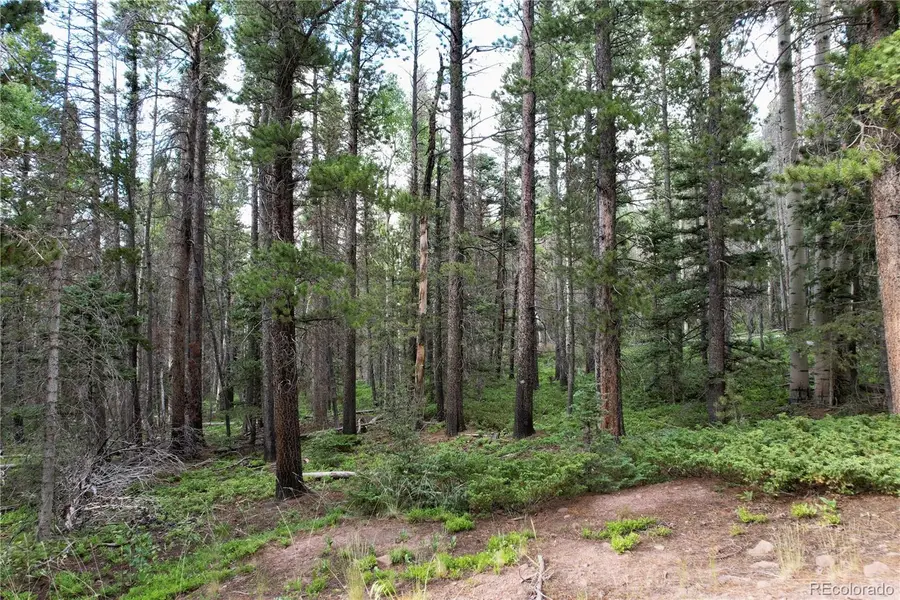 3375 Purnell Lane, Fort Garland, CO 81133 - Image #3