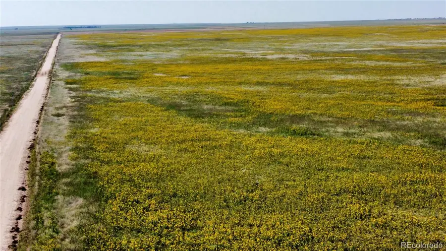 County Road 22, Matheson, CO 80830 - Image #2