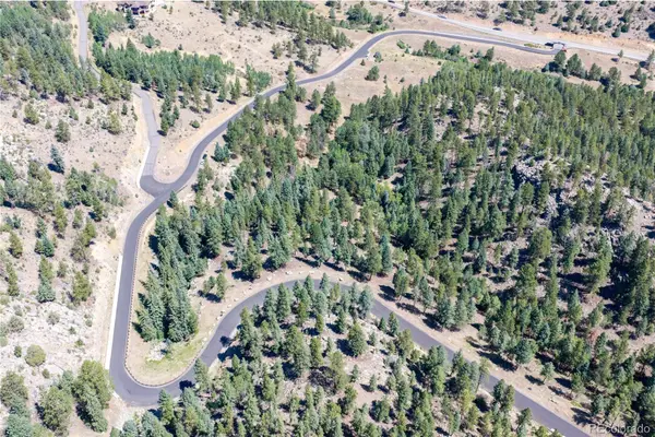 14850 Quandary Peak Road, Pine, CO 80470
