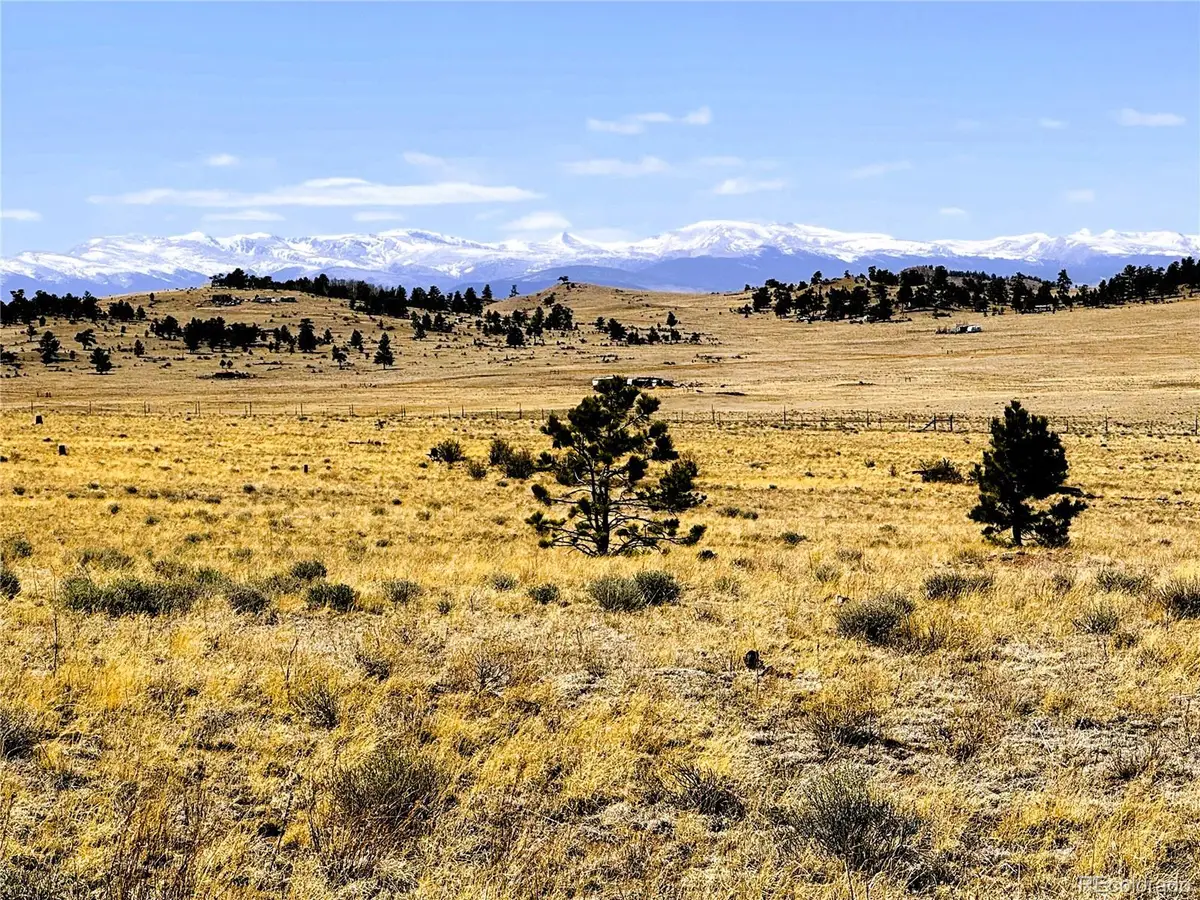 Lot 77 Black Bear Road, Hartsel, CO 80449 - #1