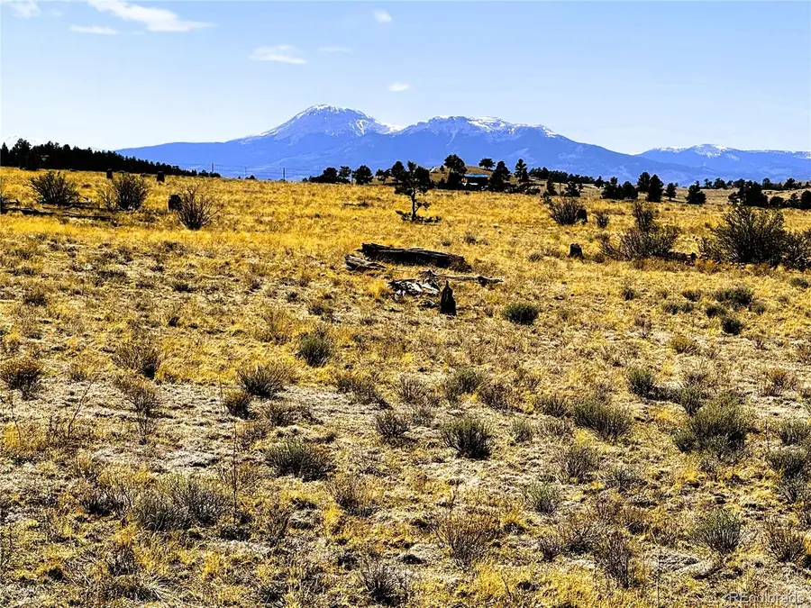 Lot 77 Black Bear Road, Hartsel, CO 80449 - #3