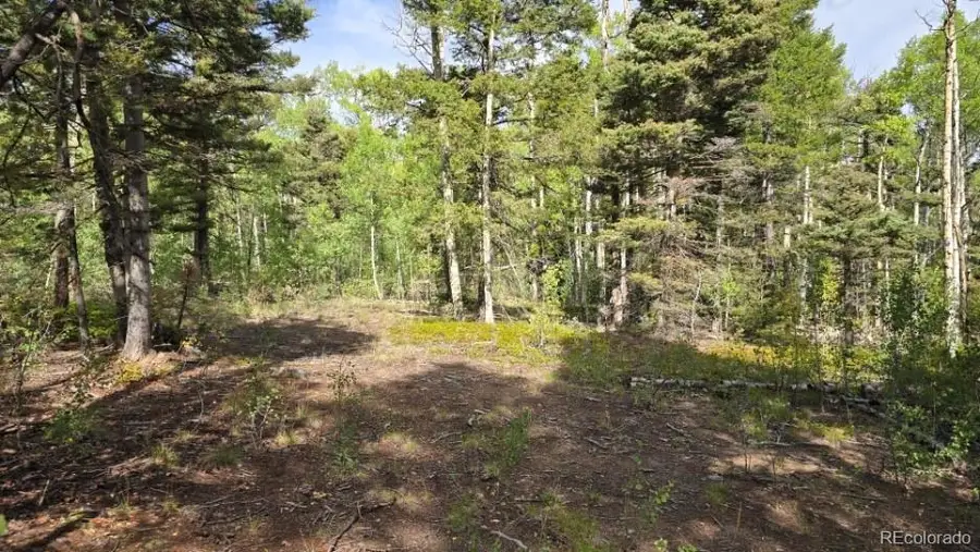 5878 Loubier, Fort Garland, CO 81133 - #2