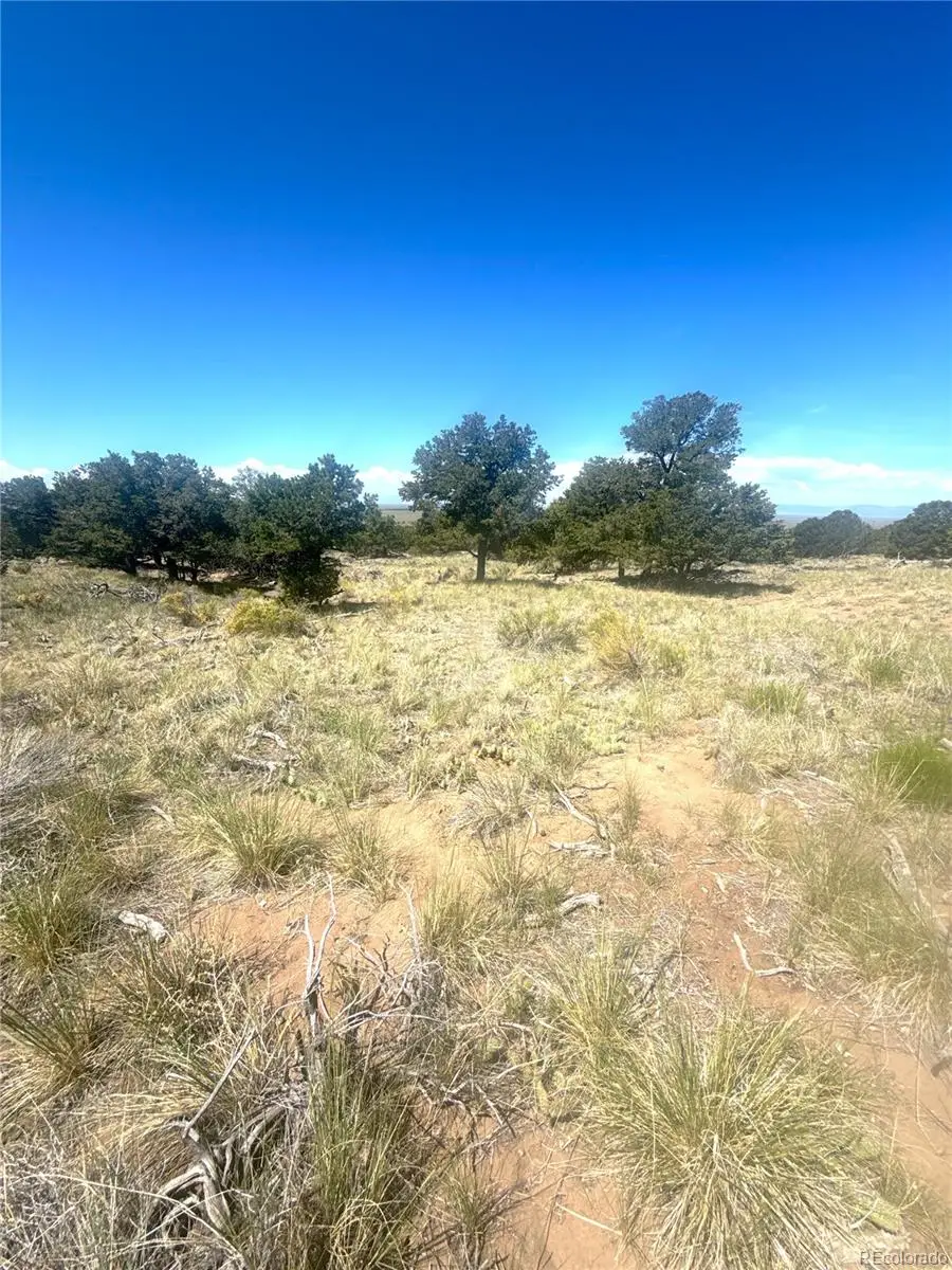 4469 Greenview Court, Crestone, CO 81131 - #1