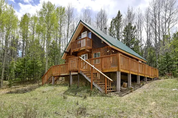 454 Eagle Rock Road, Florissant, CO 80816