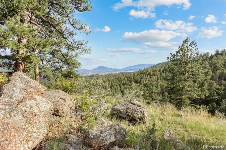 13817 Gordon Court, Pine, CO 80470 - Image #3