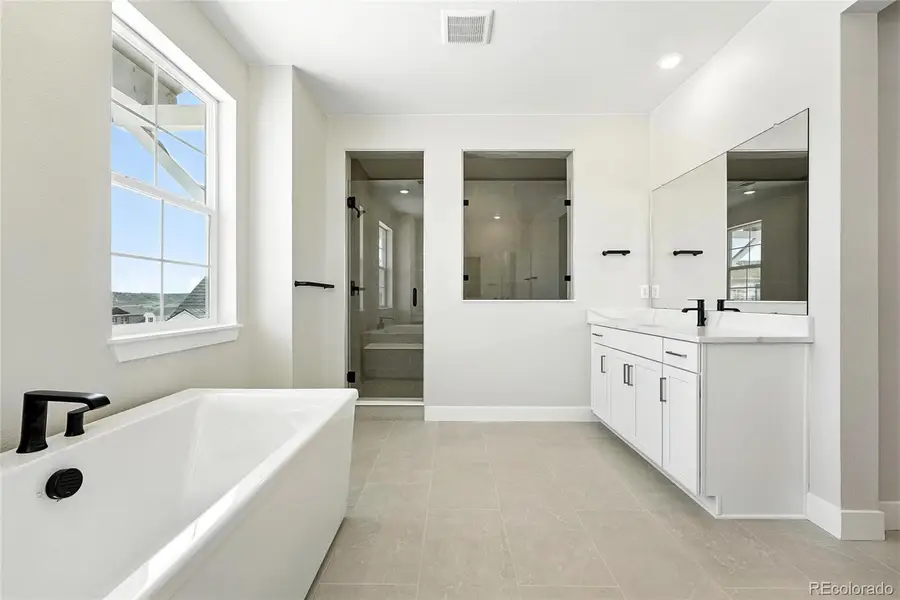 1672 Fox Trotter Point, Castle Rock, CO 80104 - Image #3