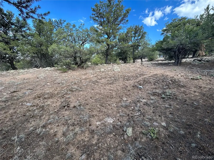 1761 Summitview Way, Crestone, CO 81131 - #2