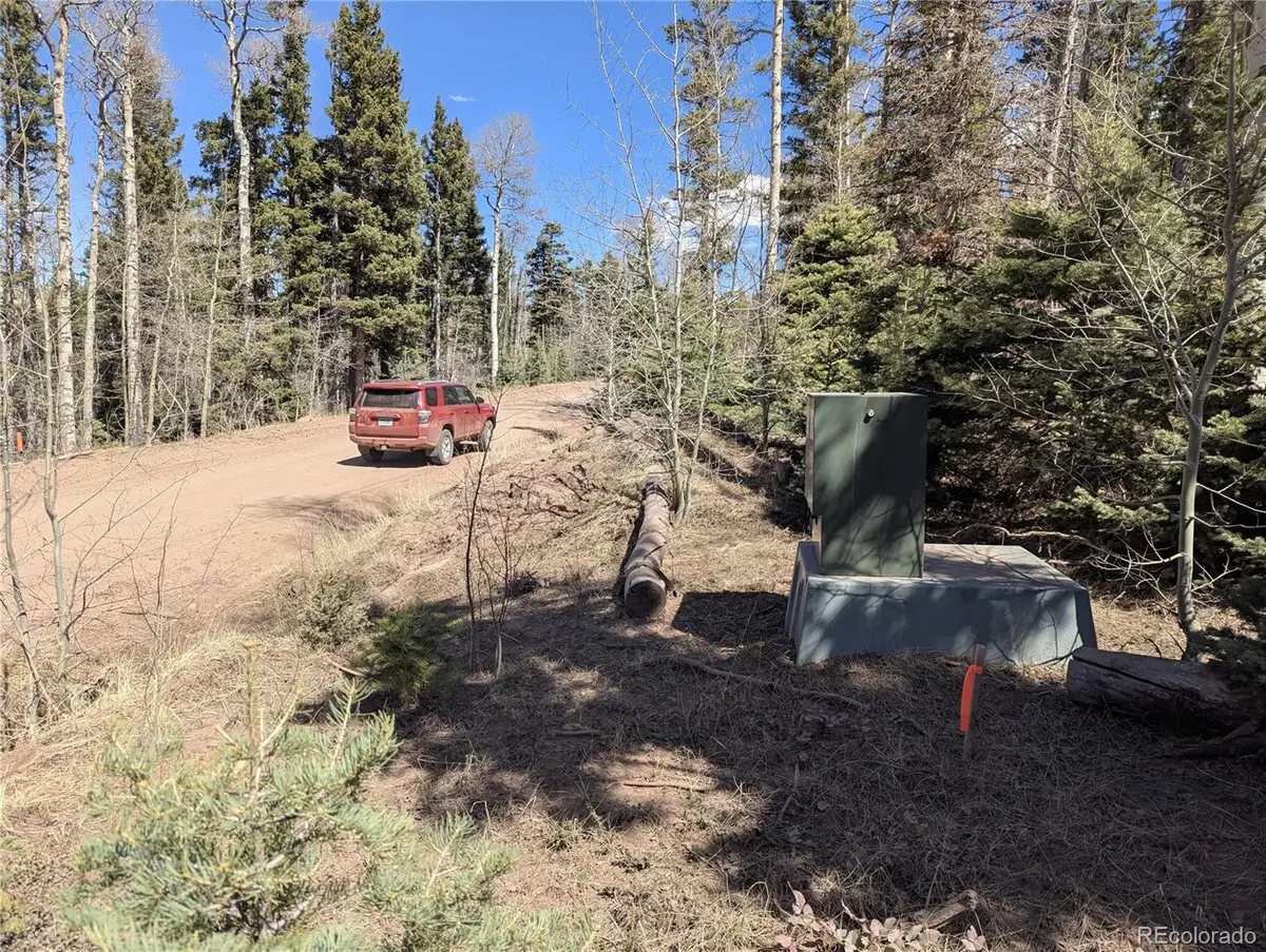 2452 Petito Drive, Fort Garland, CO 81133 - #1