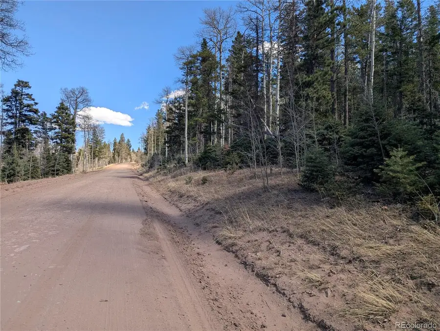 2452 Petito Drive, Fort Garland, CO 81133 - #2