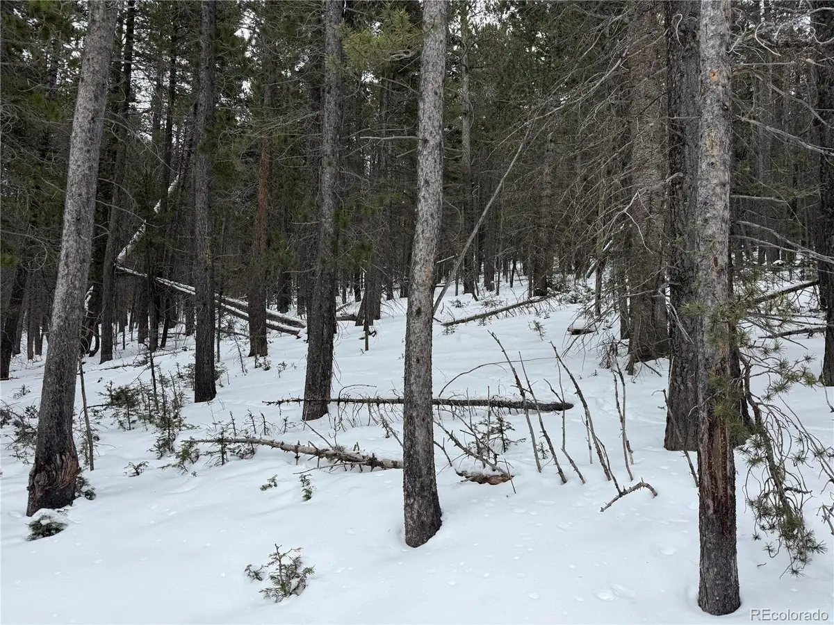 Lot 2759 Purnell Lane, Fort Garland, CO 81133 - Image #1