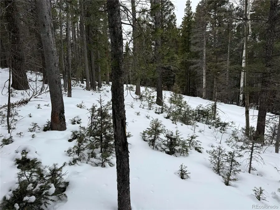 Lot 2759 Purnell Lane, Fort Garland, CO 81133 - Image #3