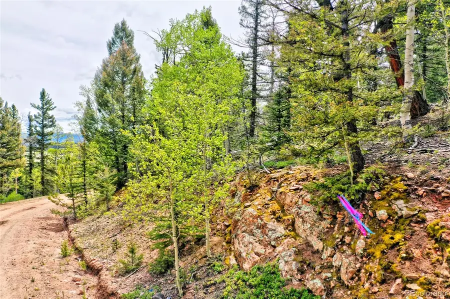 28 Old Squaw, Jefferson, CO 80456 - #2