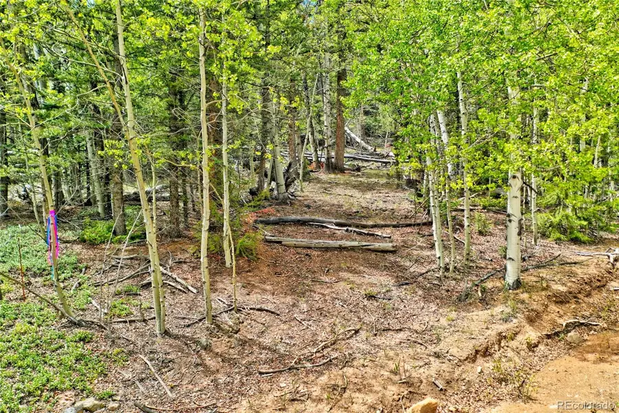 28 Old Squaw, Jefferson, CO 80456 - #3