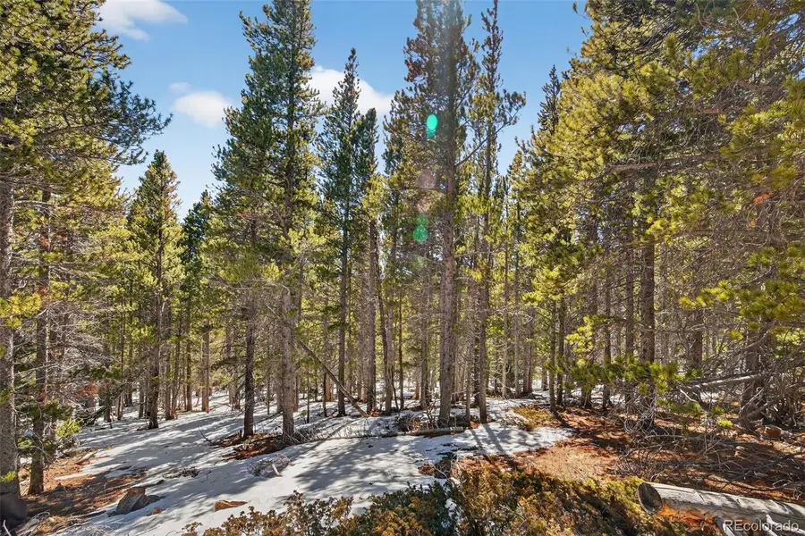 Lot 846 Lincoln Drive, Idaho Springs, CO 80452 - #3