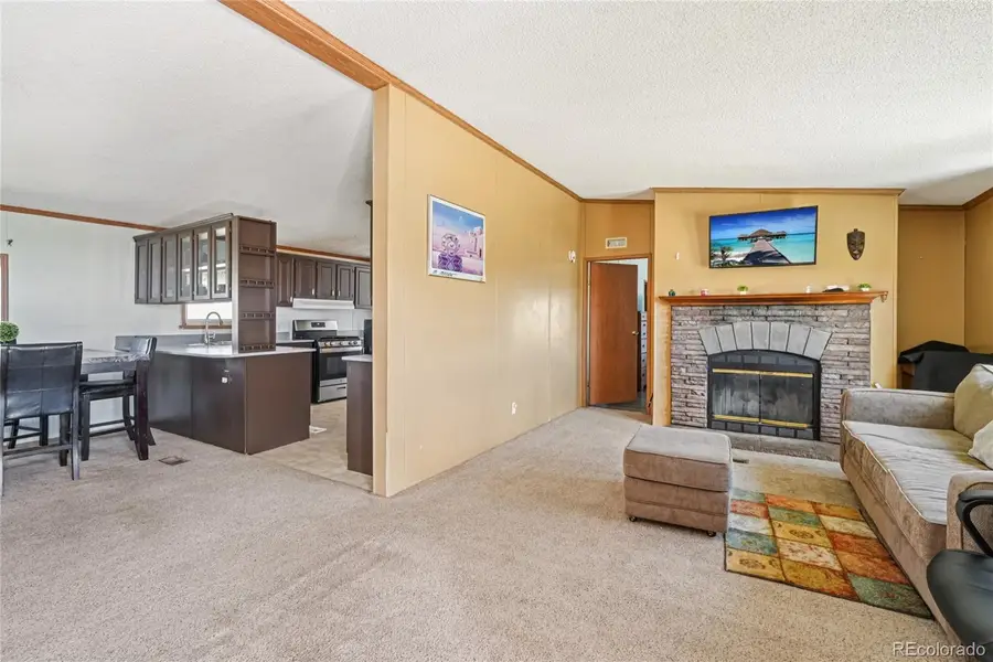 265 Trout Road, Fairplay, CO 80440 - Image #3