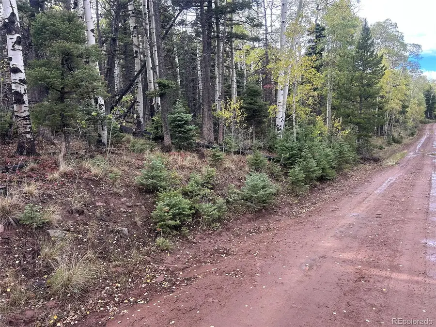 2954 Larry, Fort Garland, CO 81133 - #3