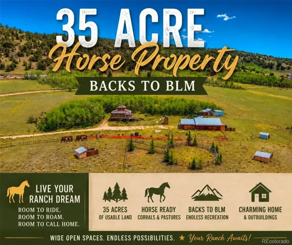 474 Gap Road, Fairplay, CO 80440