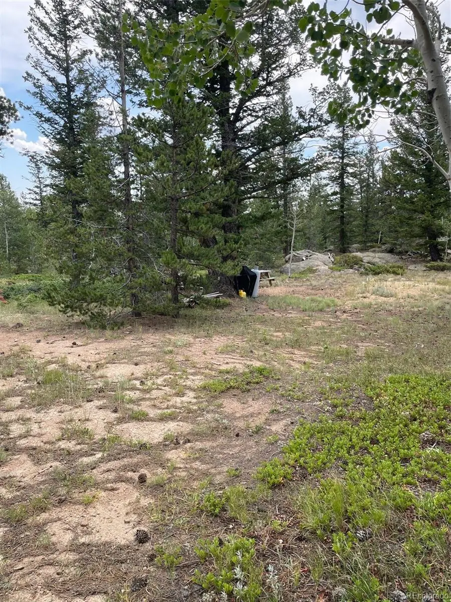 247 Sutiki Drive, Red Feather Lakes, CO 80545 - #2